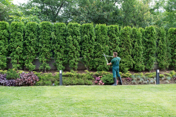 Lawn Irrigation Installation and Maintenance in Prospect, PA