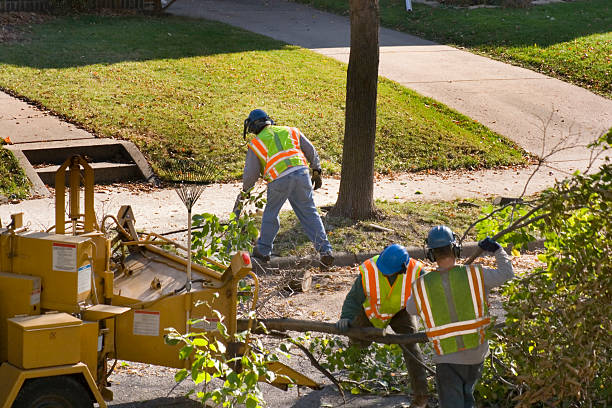 Landscape Design and Installation in Prospect, PA